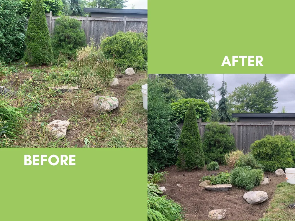 Disaster garden restoration in Nepean Ottawa
