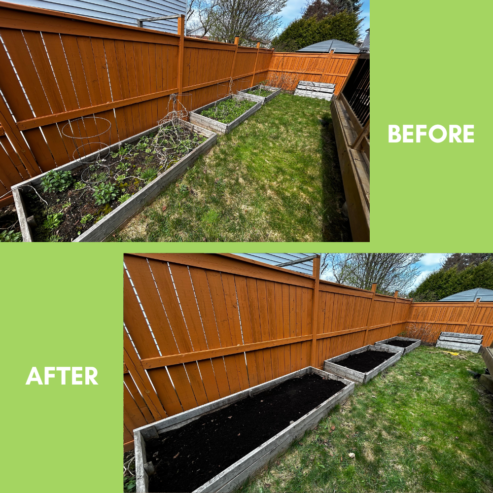 Garden Landscaping Project 10