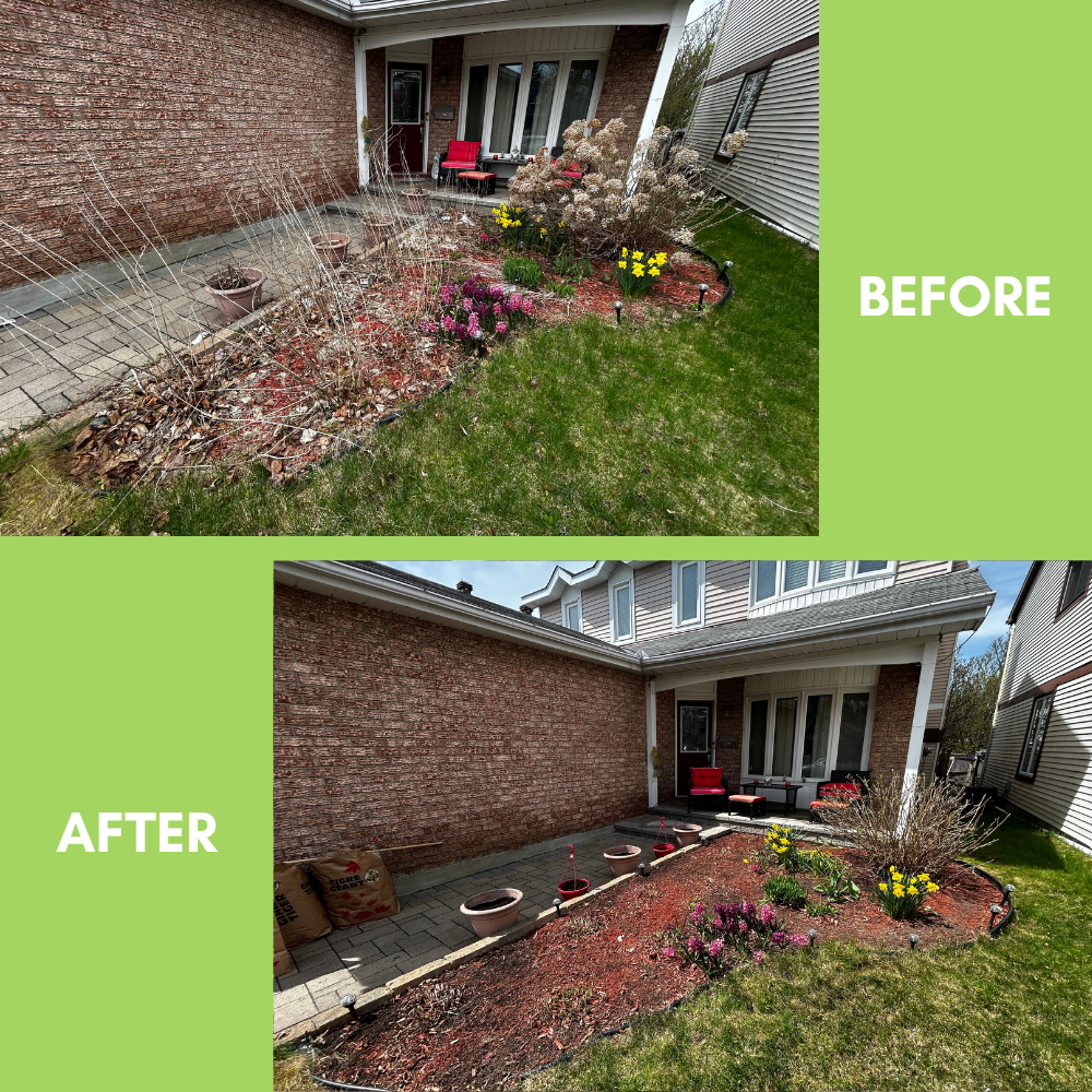 Garden Landscaping Project 12