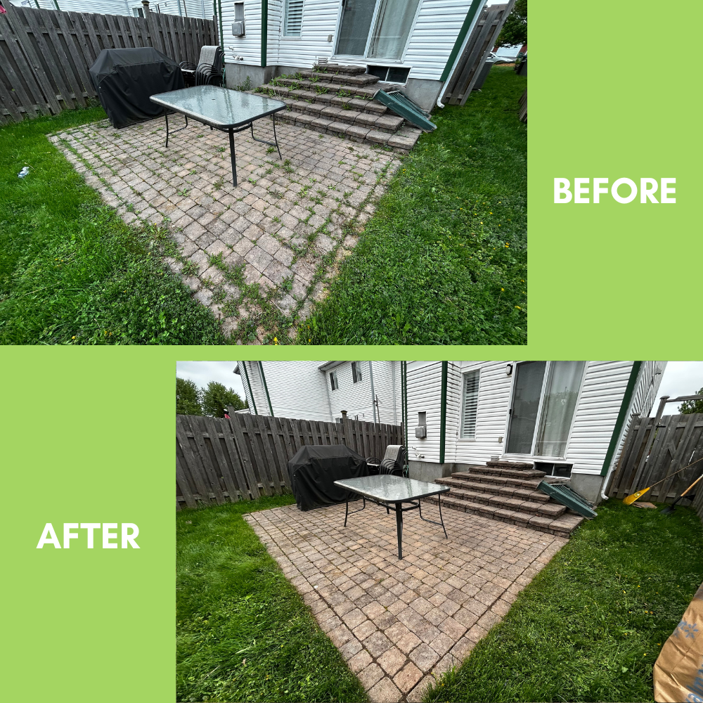 Garden Landscaping Project 14