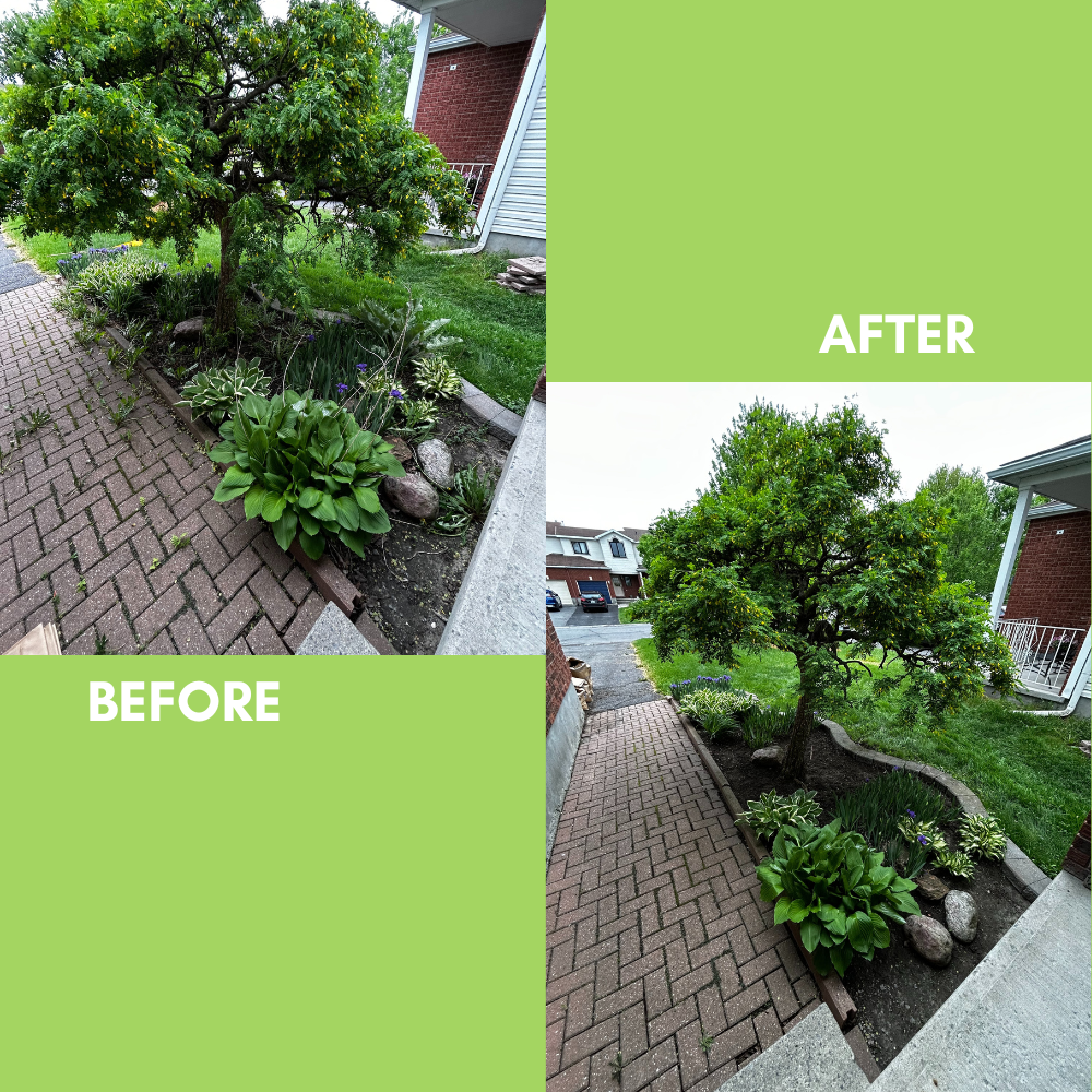 Garden Landscaping Project 15