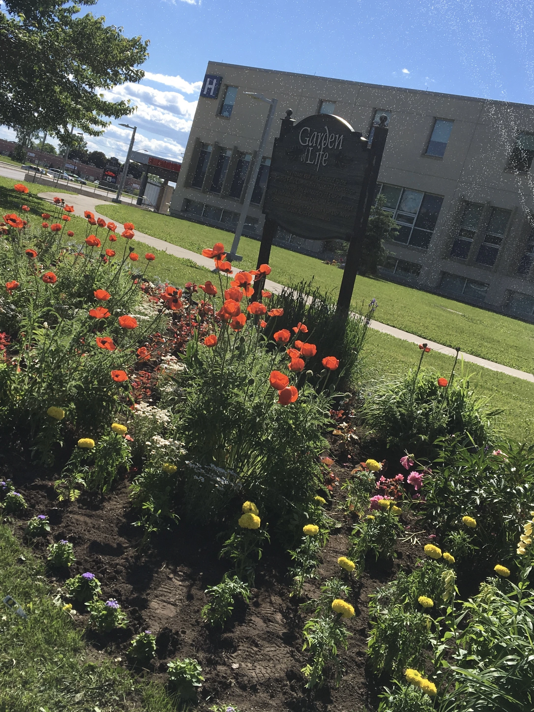 ProGrow Garden Project