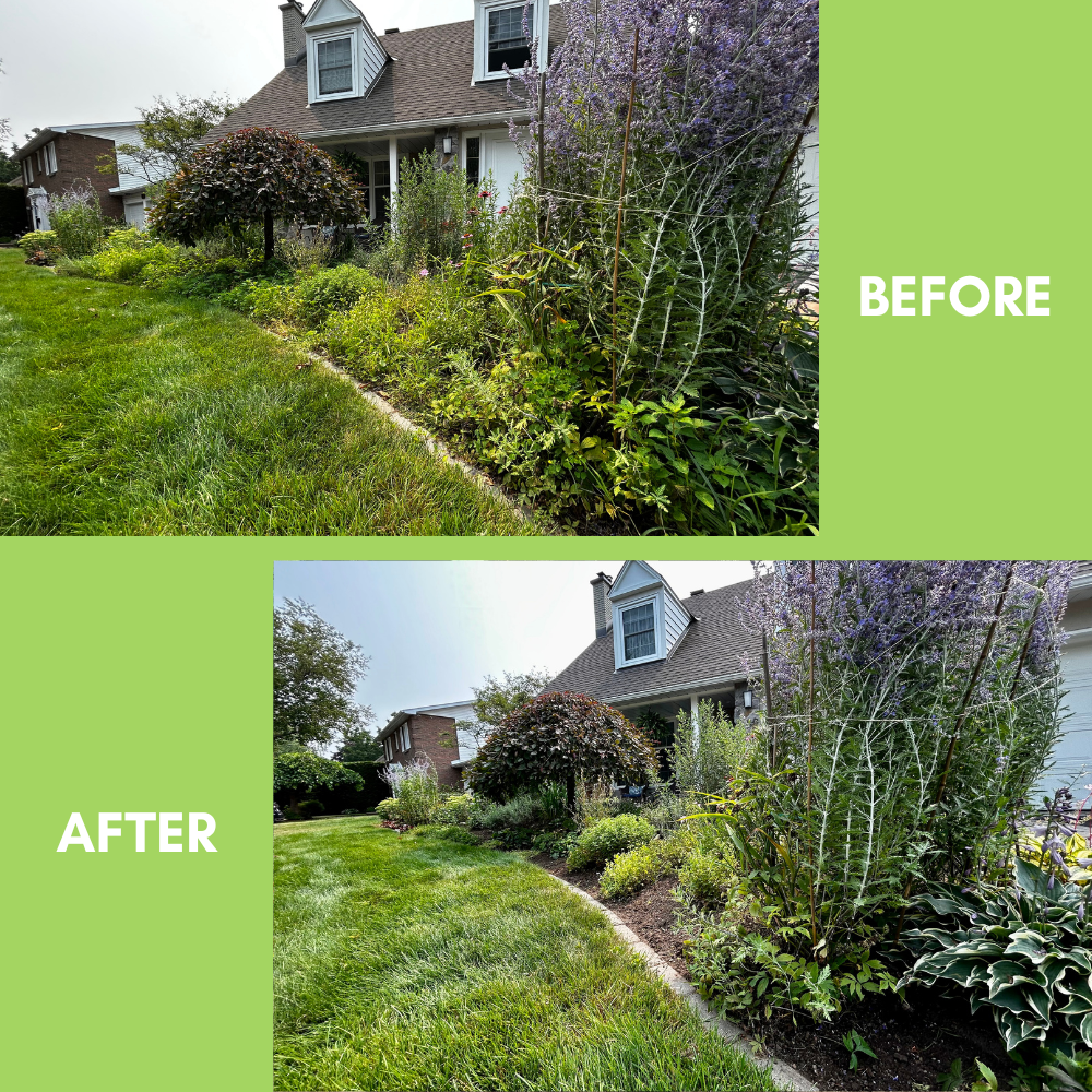 Garden Landscaping Project 16