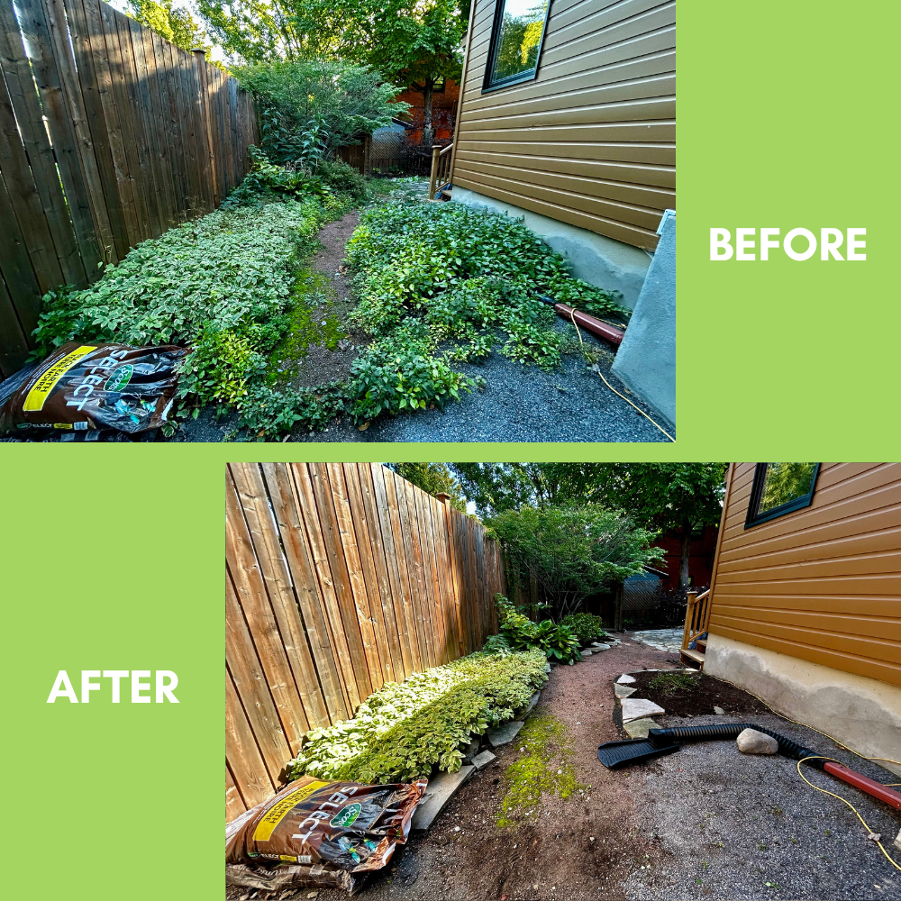 Garden Landscaping Project 17