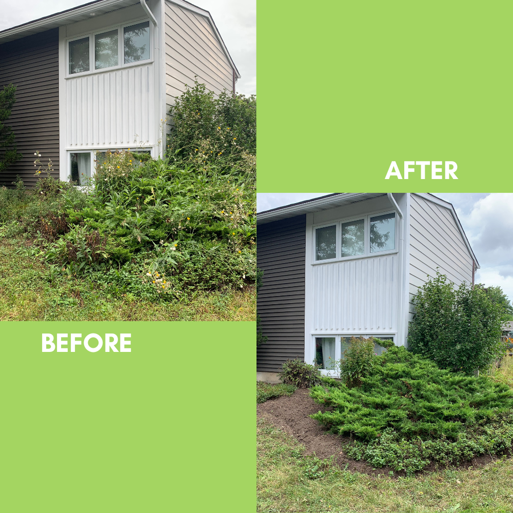 Garden Landscaping Project 2