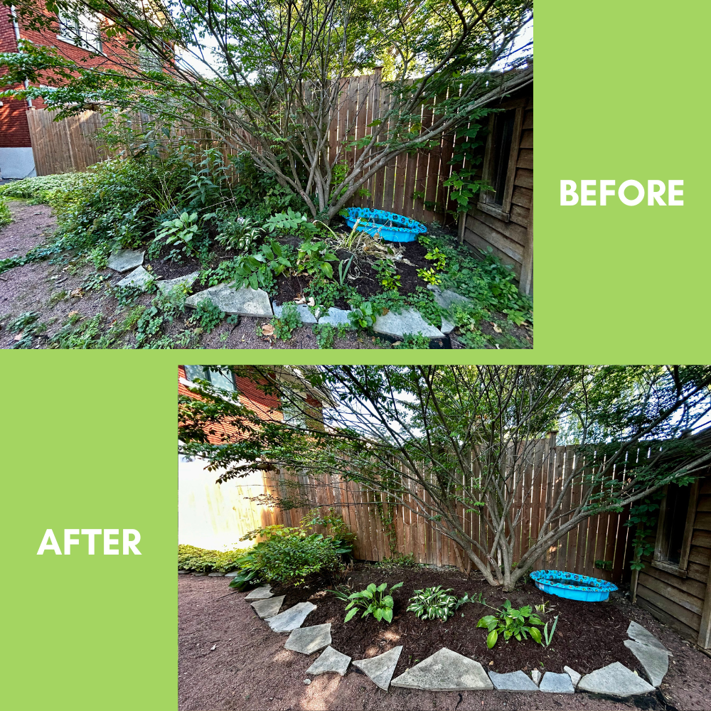 Garden Landscaping Project 18