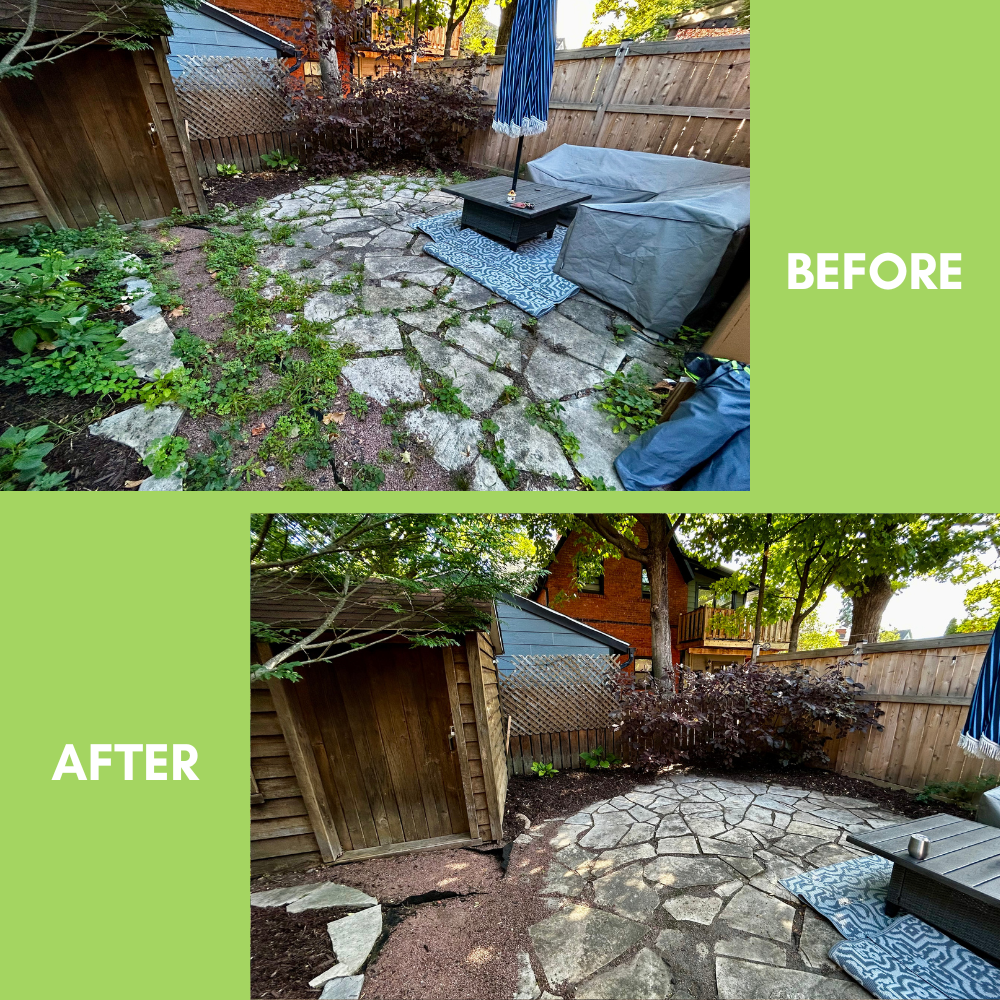 Garden Landscaping Project 19