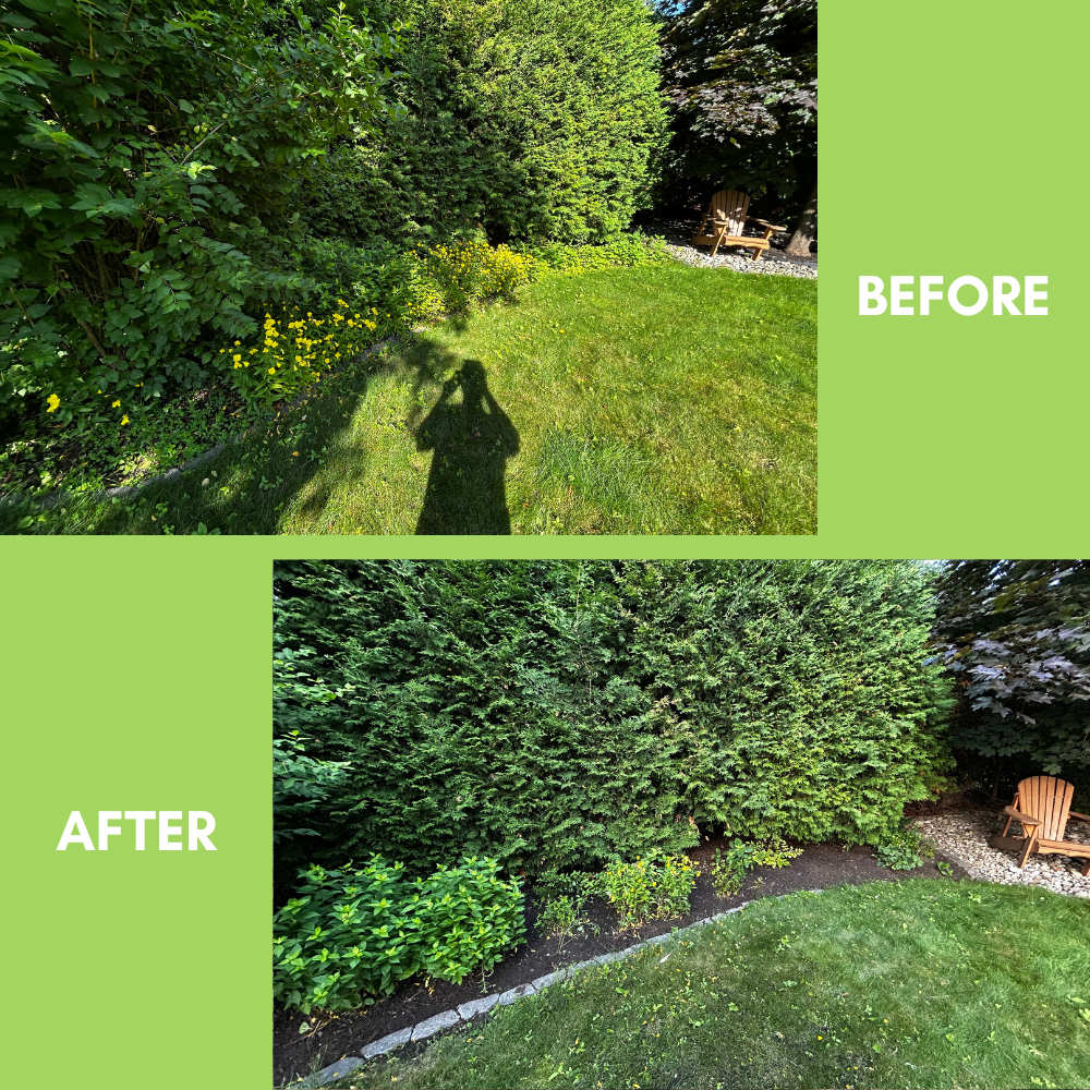 Garden Landscaping Project 20