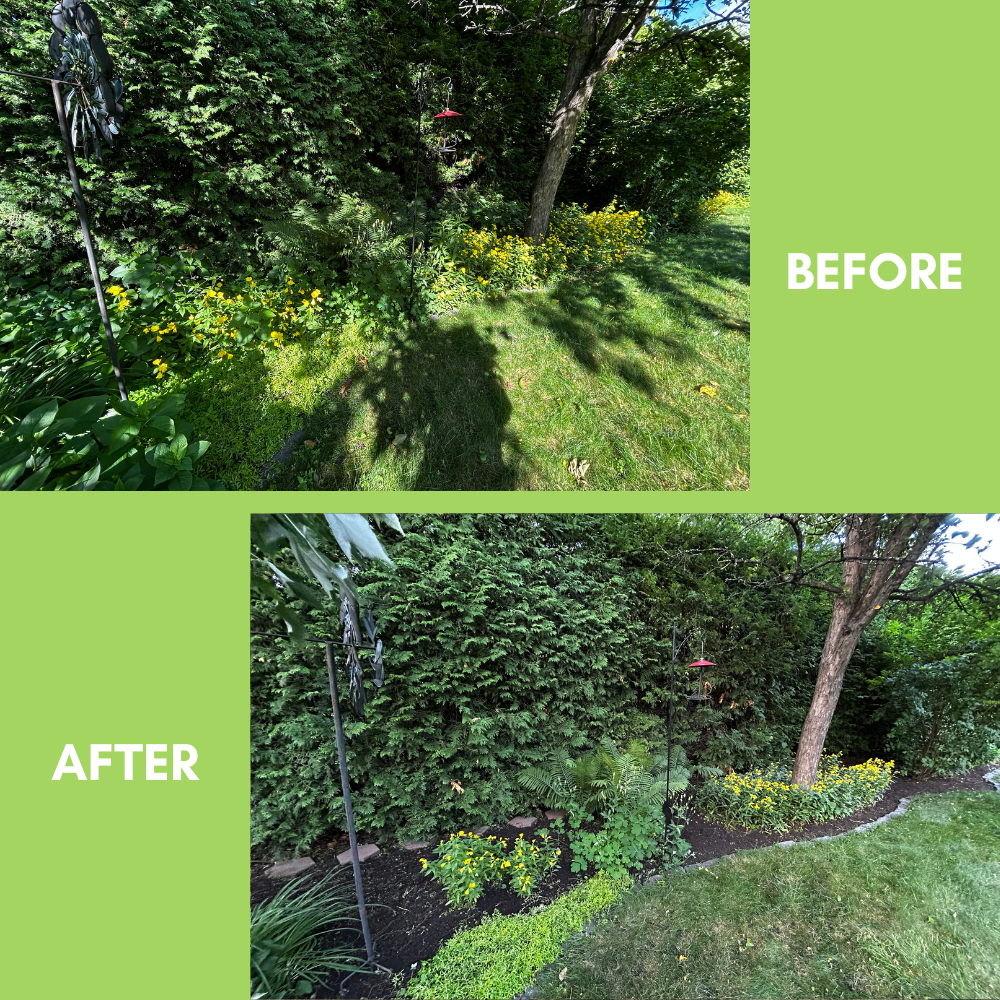 Garden Landscaping Project 21