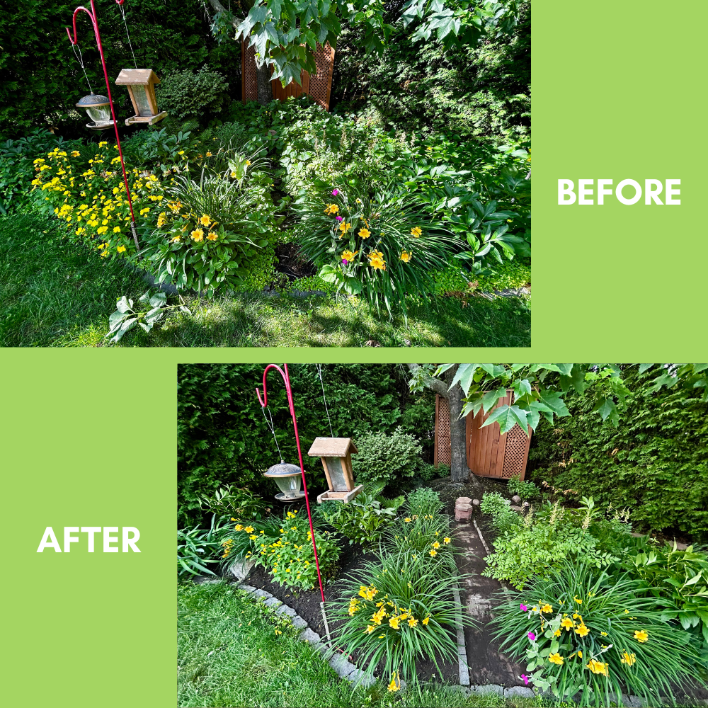 Garden Landscaping Project 22