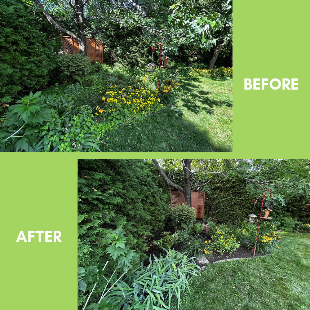 Garden Landscaping Project 23