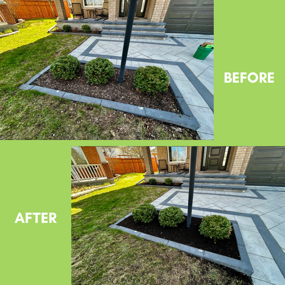 Garden Landscaping Project 24