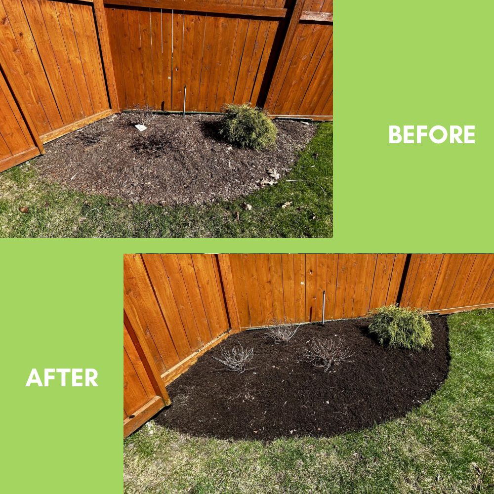 Garden Landscaping Project 25