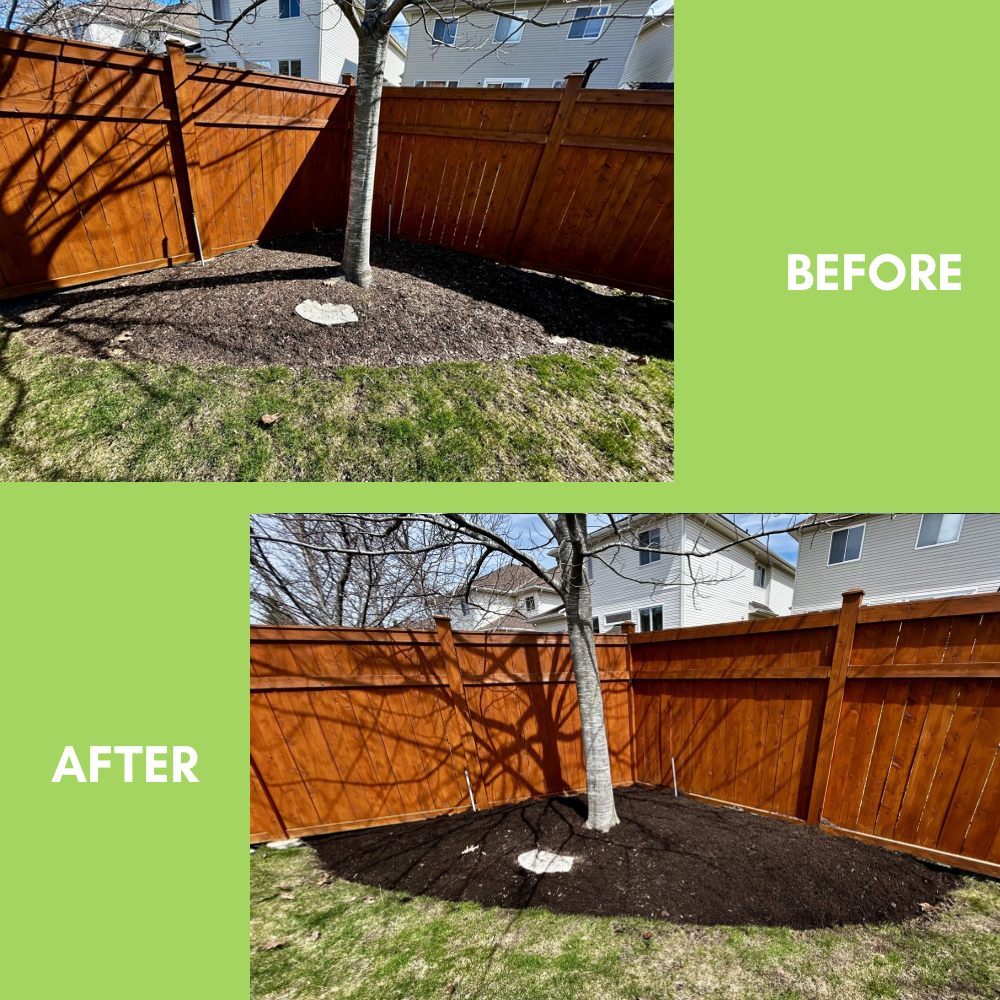 Garden Landscaping Project 26