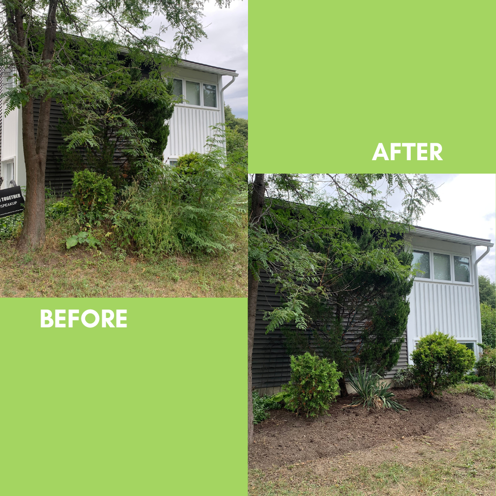 Garden Landscaping Project 3