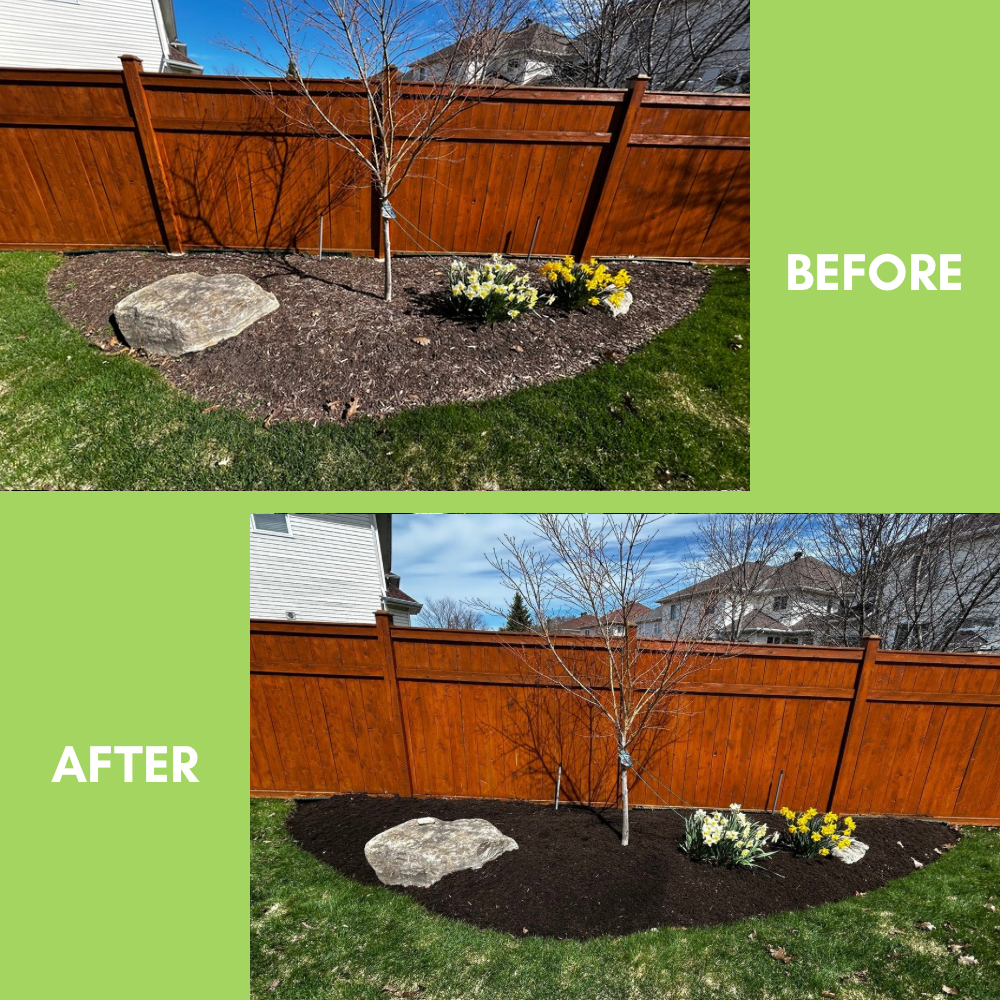 Garden Landscaping Project 28