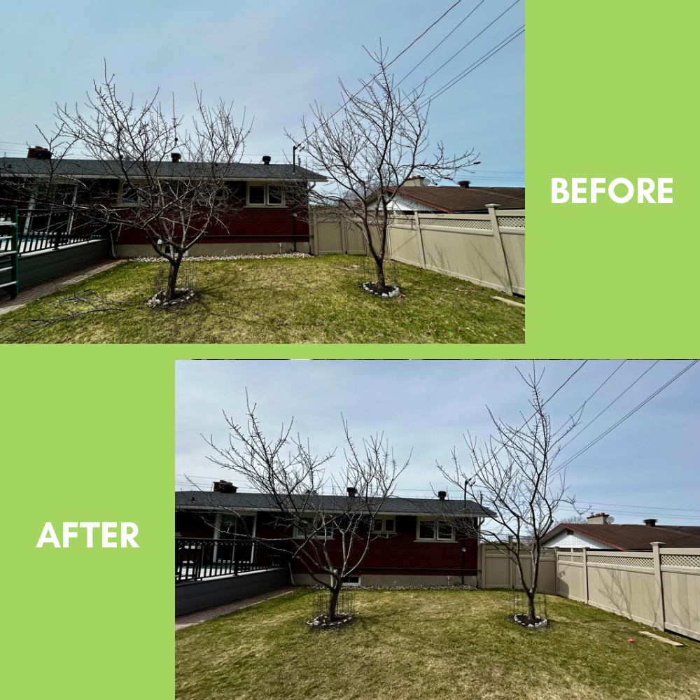 Garden Landscaping Project 29