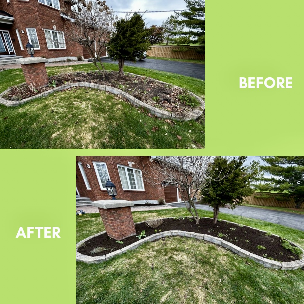 Garden Landscaping Project 32