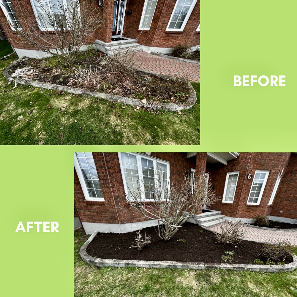 Garden Landscaping Project 33