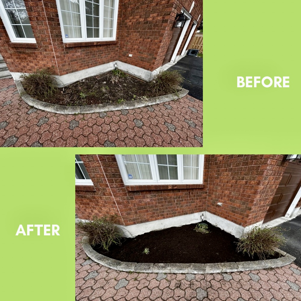 Garden Landscaping Project 34