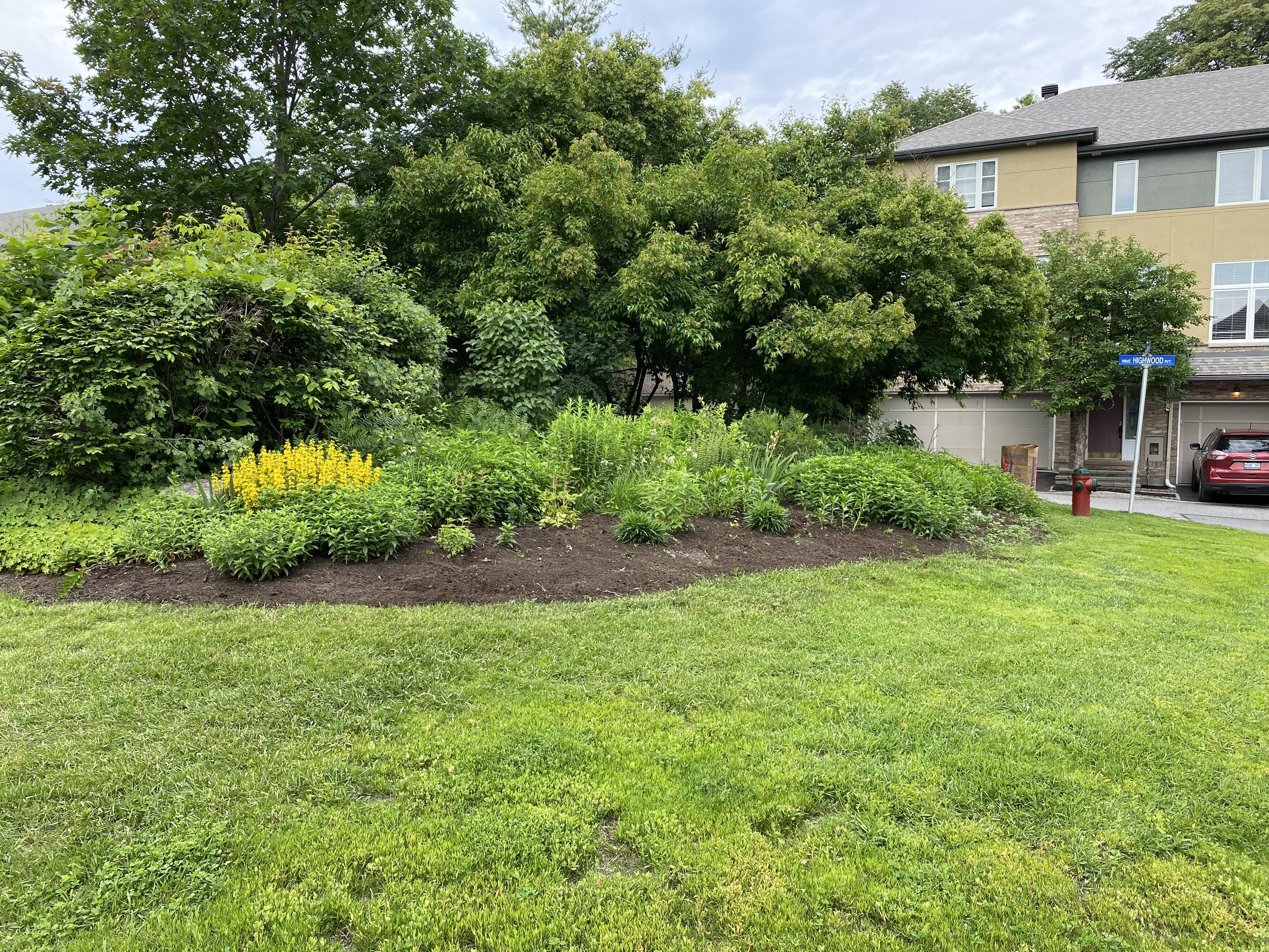 Garden Transformation