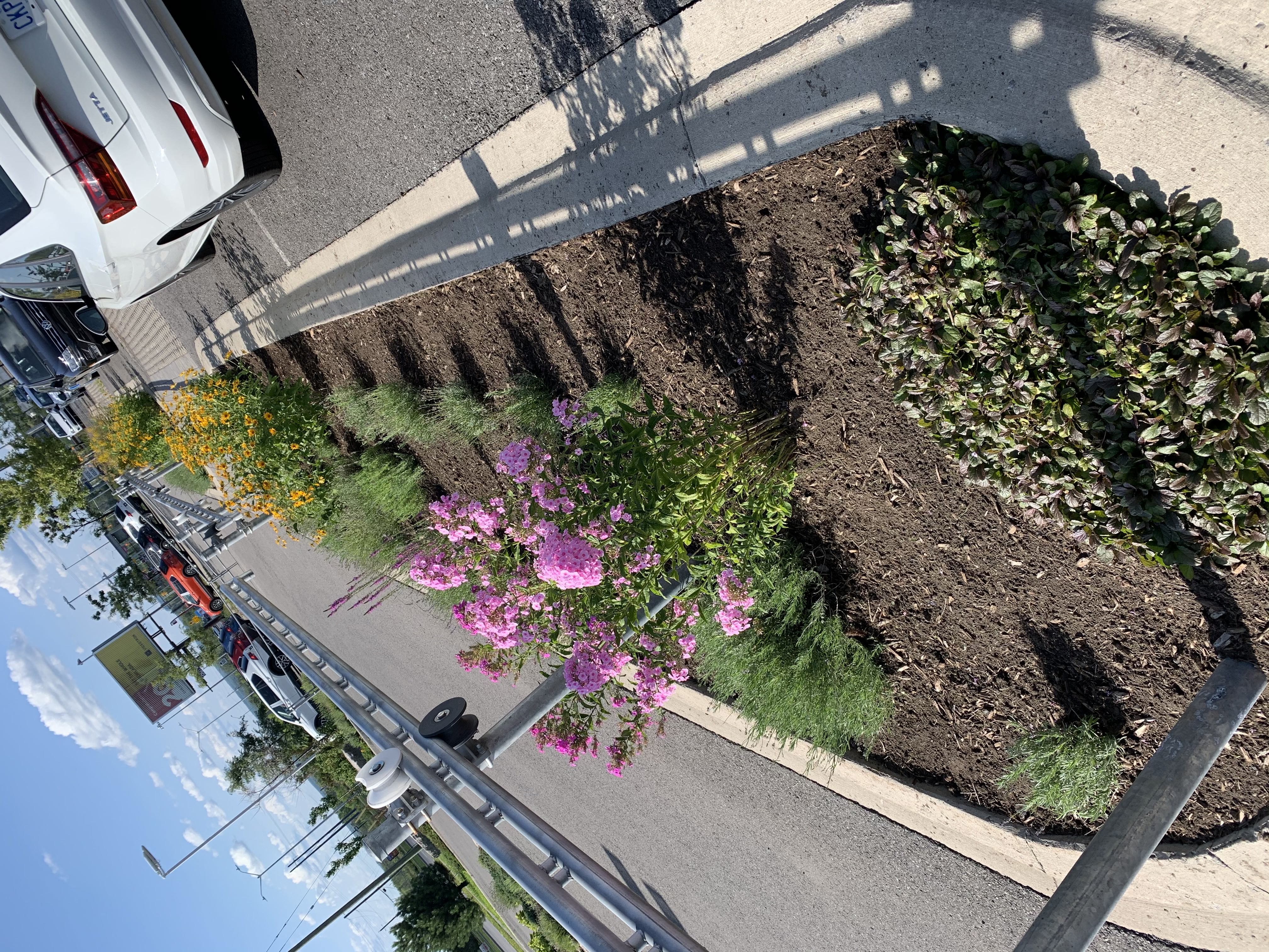 Garden Landscaping Project 5