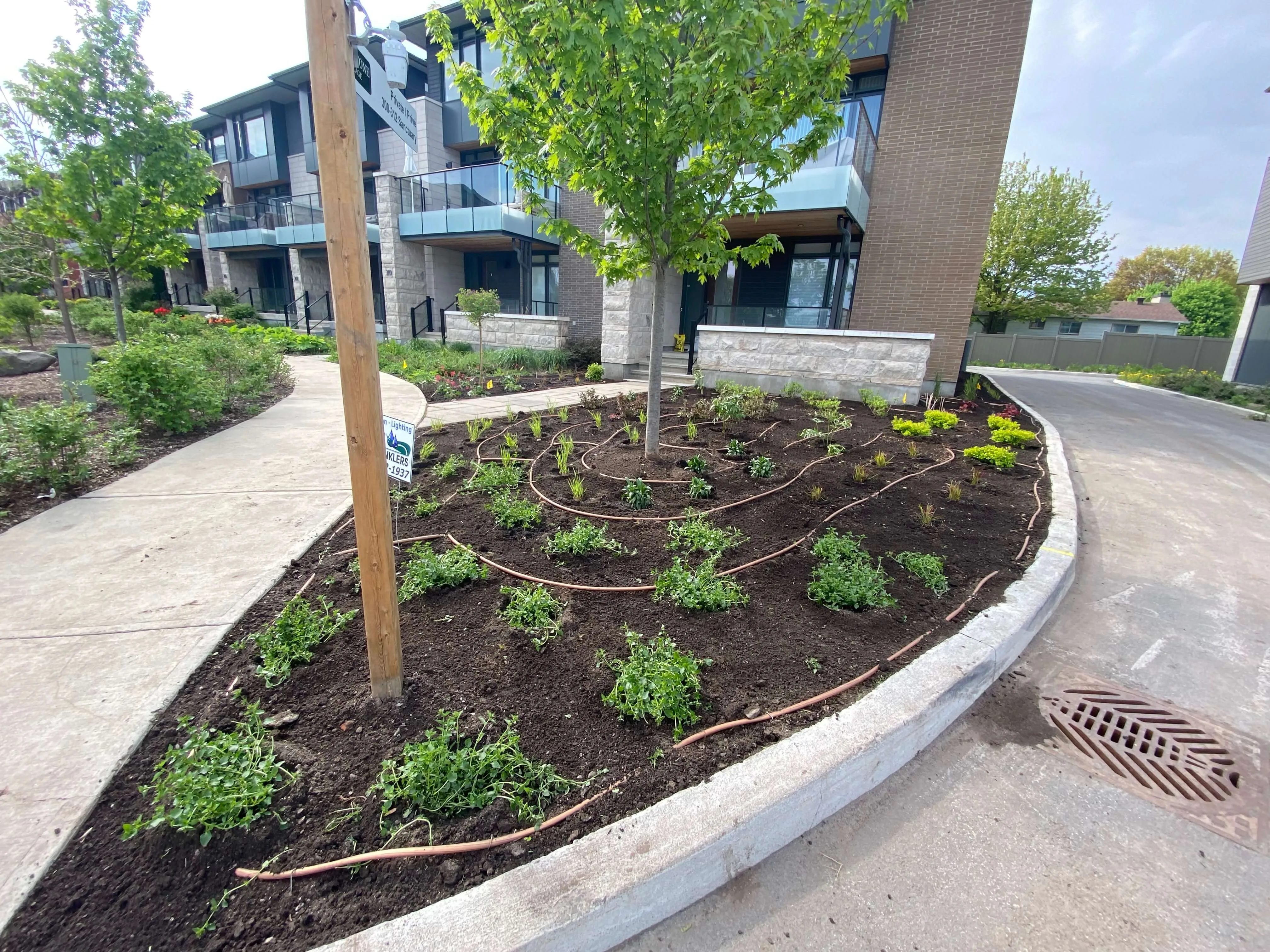 Full-service garden planting project in Barrhaven Ottawa