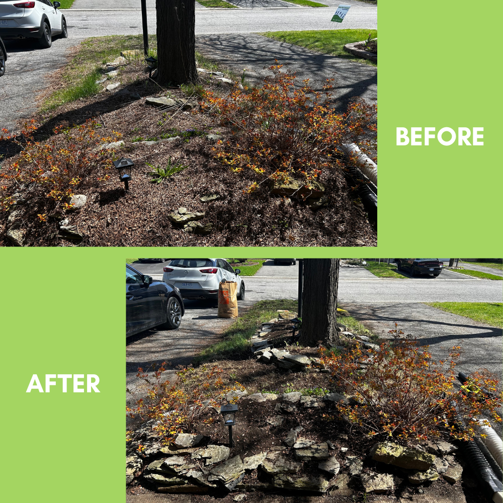 Garden Landscaping Project 8