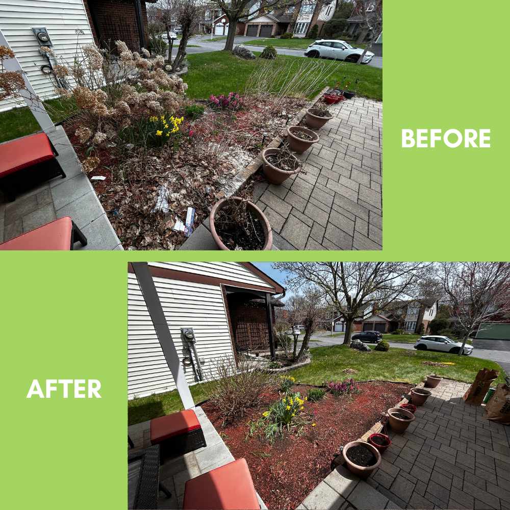 Garden Landscaping Project 9