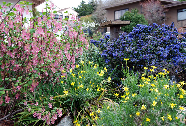 Garden Restoration