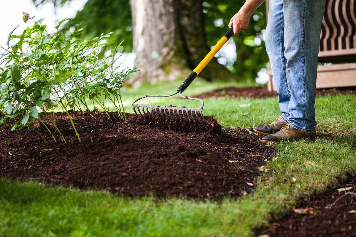 Mulching and Preventative Weed Control