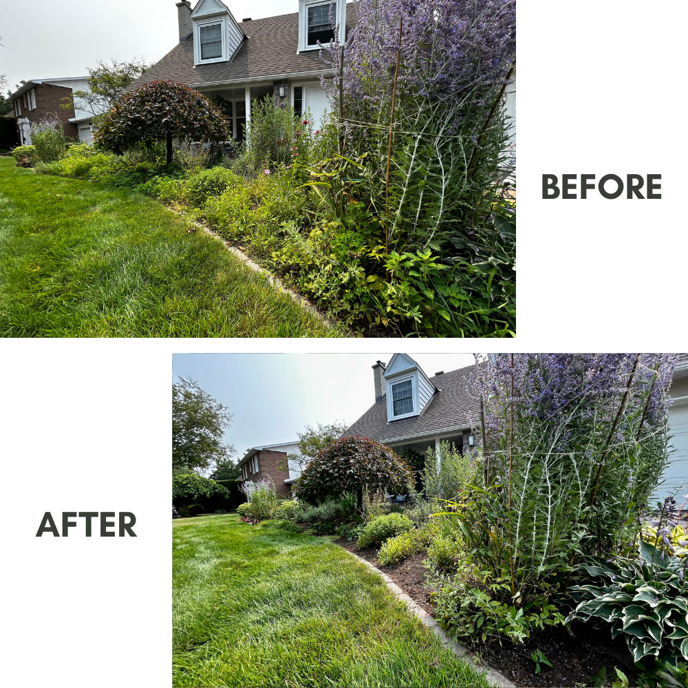 Seasonal garden maintenance and shrub pruning in Ottawa by ProGrow